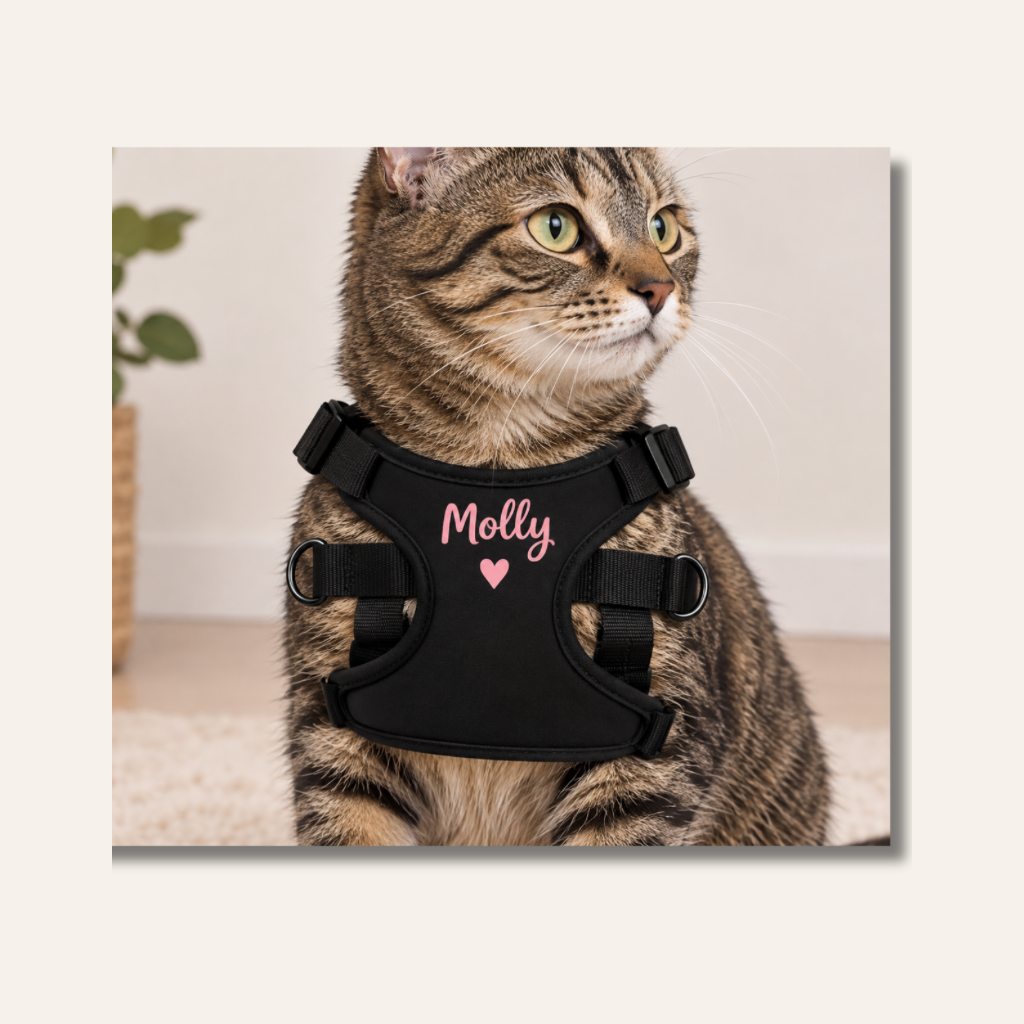 Harnais chien et chat personnalisable