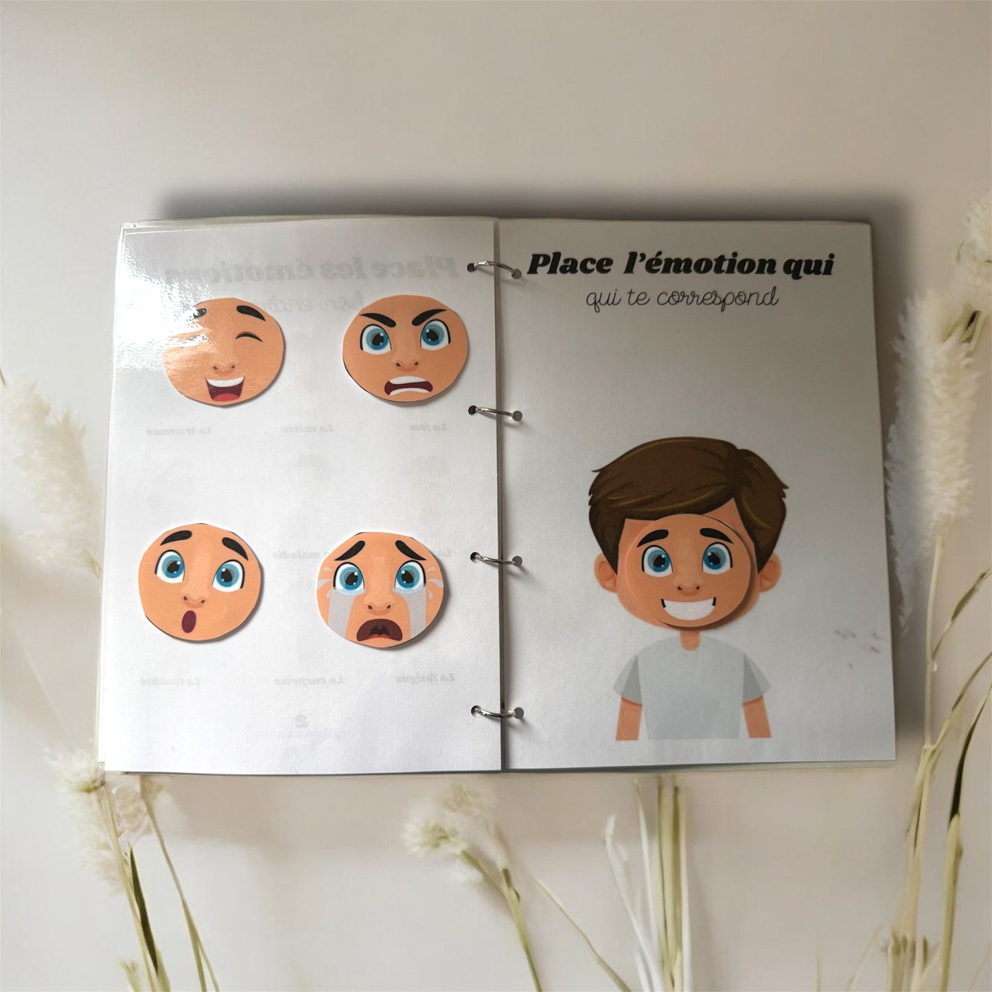 Livret d’apprentissage « les émotions »