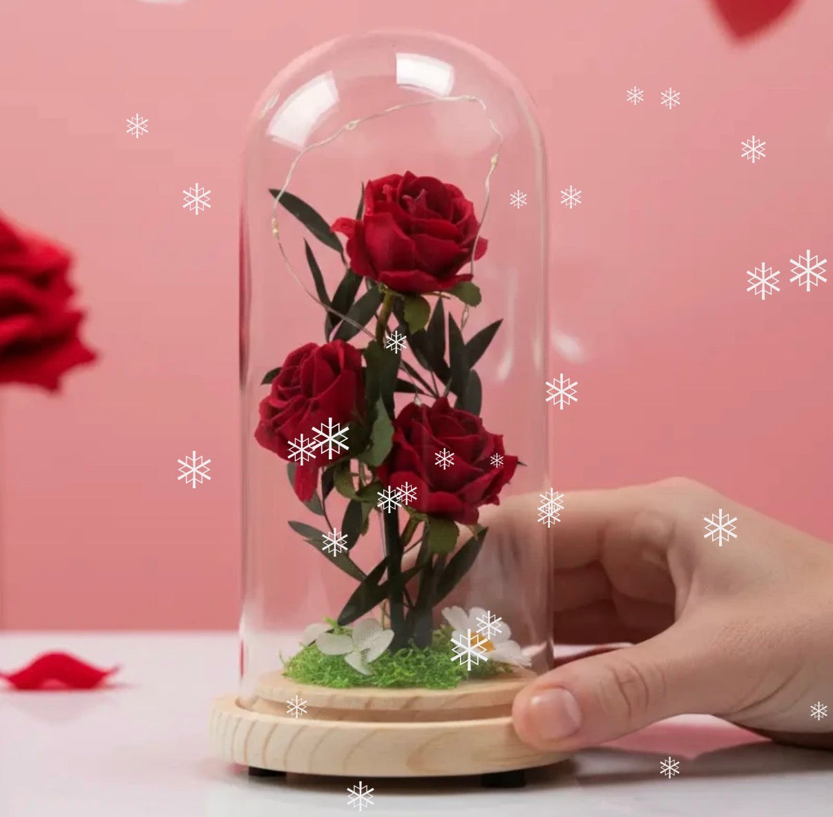 Rose éternelle
