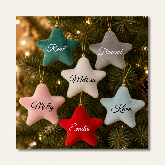 Étoile de Noël en velours Personnalisable